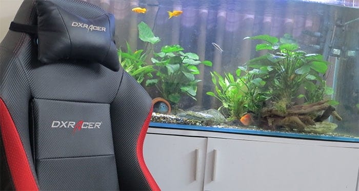 DXRacer Drifting Series gaming chair and tropical fish tank