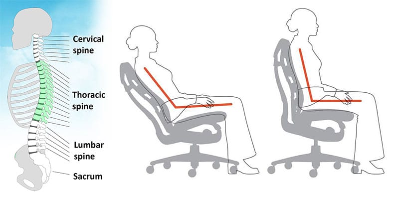 Embody office chair synchro-tilt back support