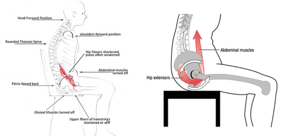 Sitting without lumbar support