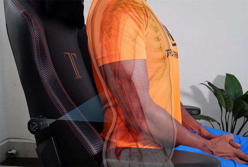 Secretlab Titan lumbar support
