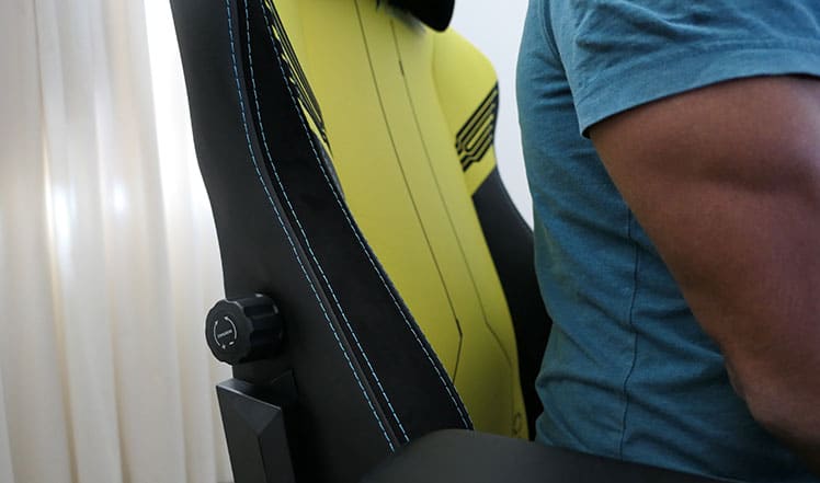 Titan internal lumbar support