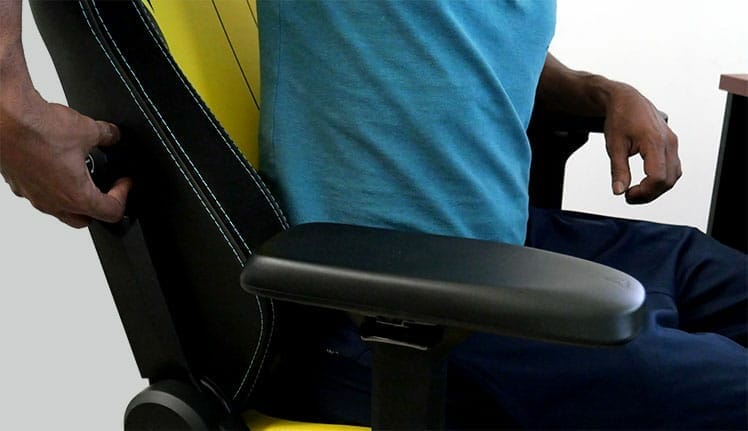 Secretlab TItan lumbar support system