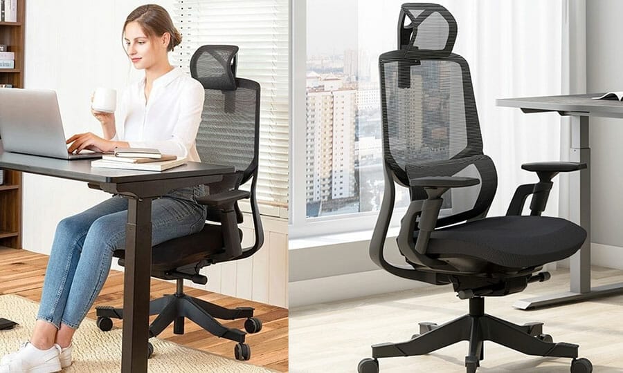 Flexispot Soutien Ergonomic Office Chair review