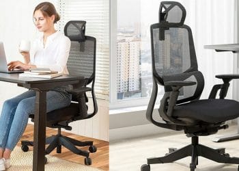 Flexispot Soutien Ergonomic Office Chair review