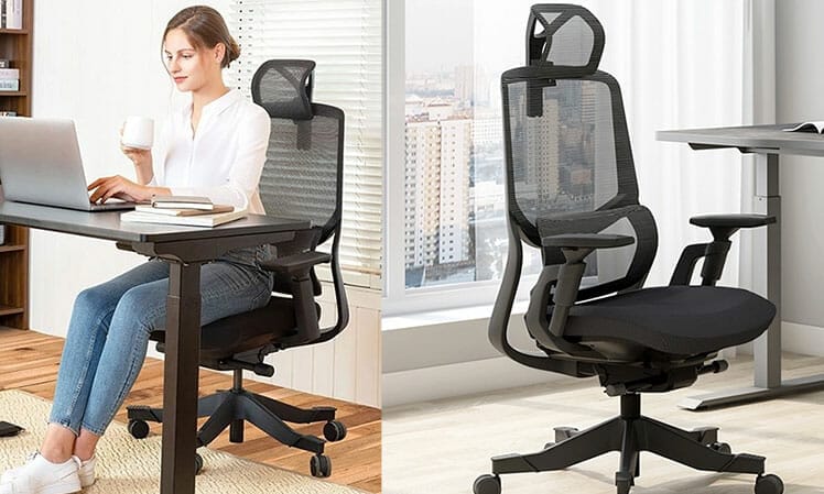 flexispot ergo chair