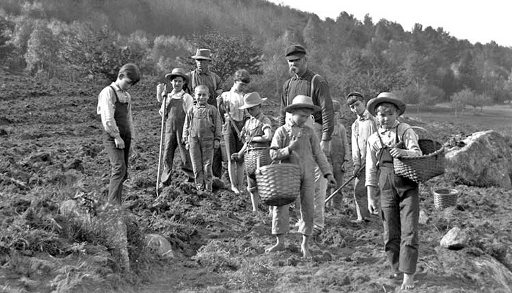 Young boys working the fields in 1910