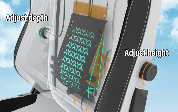 Titan Evo 2022 Series lumbar support adjustability
