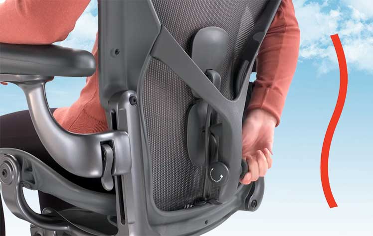 Aeron Posturefit lumbar support