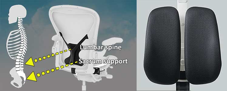 Aeron vs Duorest Alpha lumbar support