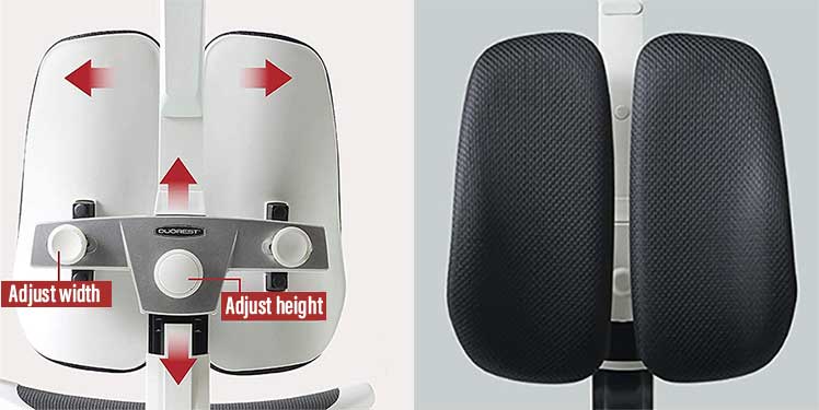 Duorest Alpha dynamic backrest