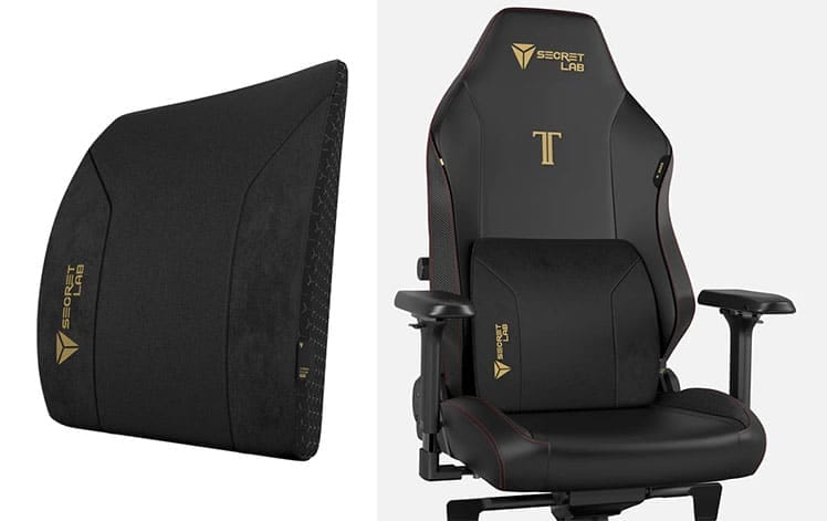 Titan Pro lumbar pillow