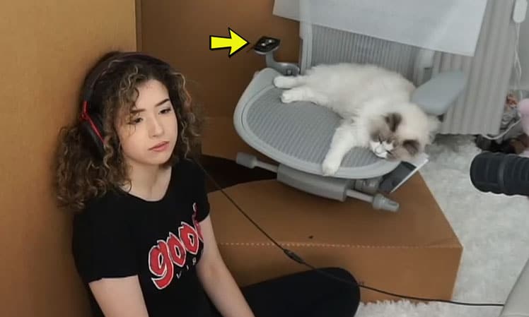 Sad Pokimane accepts defeat