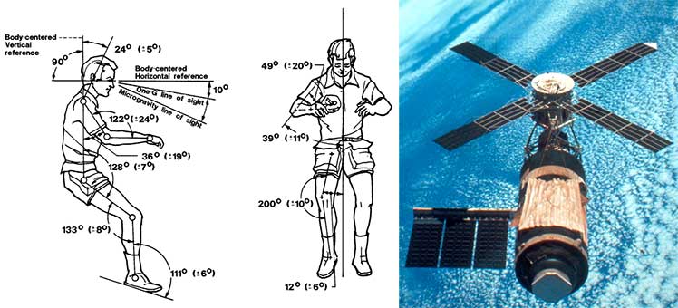 Neutral body postures in zero gravity
