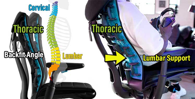 Embody Backfit system for thoracic support