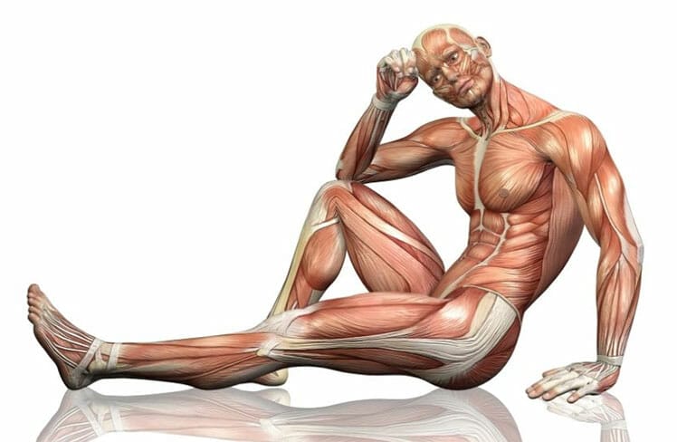 Fascia system diagram