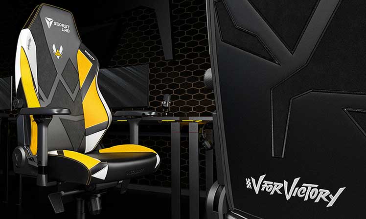 Secretlab x Team Vitality gaming chair