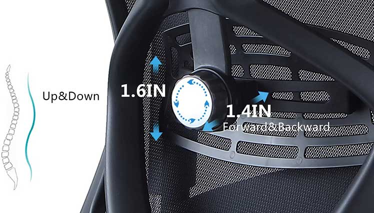 Ticova lumbar support