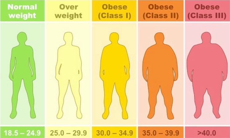 Obesity BMI chart