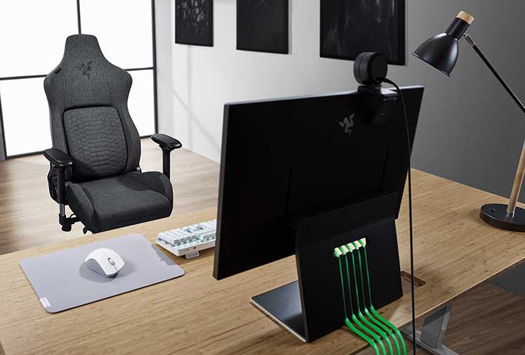 Razer Iskur setup