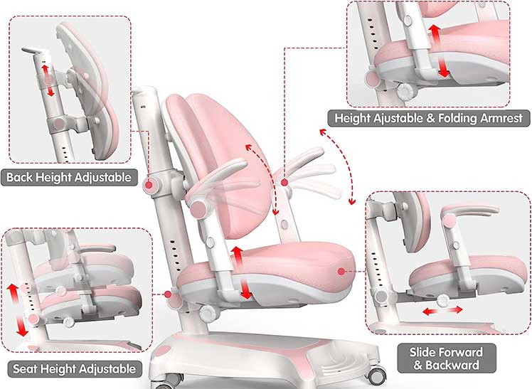 Key FCD Chair adjustable features