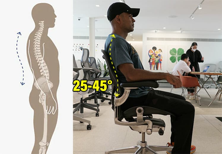 Neutral posture spinal curves while standing and sitting