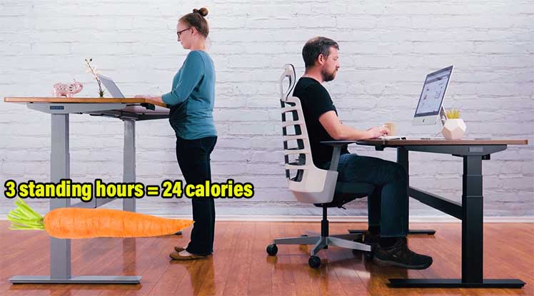 Standing desk calorie-burning benefits