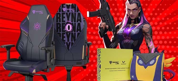 Reyna chair with Wingman pillow