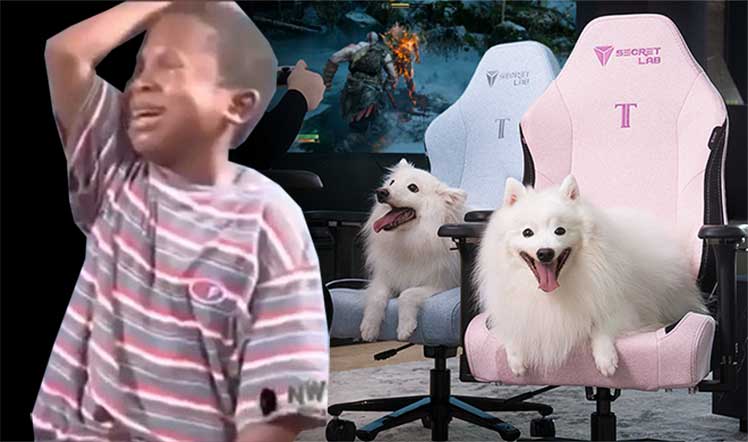 Titan XXS chair for kids and pets