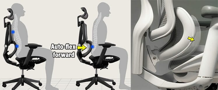 How does a 3D lumbar support system work illustrated
