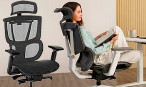 Flexispot C7 ergonomic office chair for short sizes