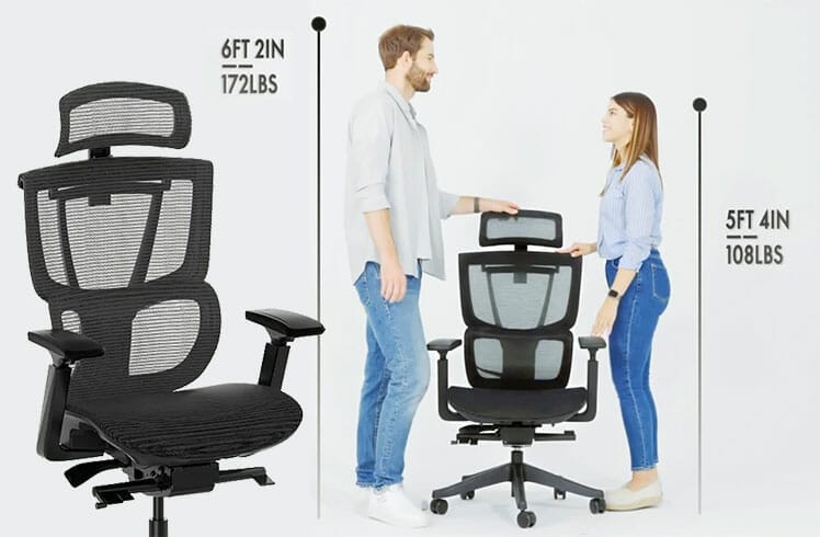 Flexispot C7 ergonomic office chair for short and tall sizes