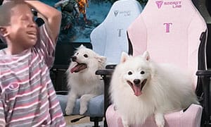 Secretlab Titan XXS kids computer chair