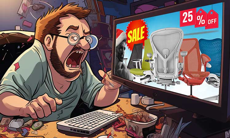 Angry Redditor yelling at Herman Miller chair sales