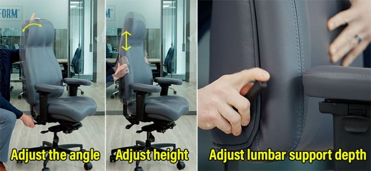 Lifeform Ultimate Executive chair key backrest features