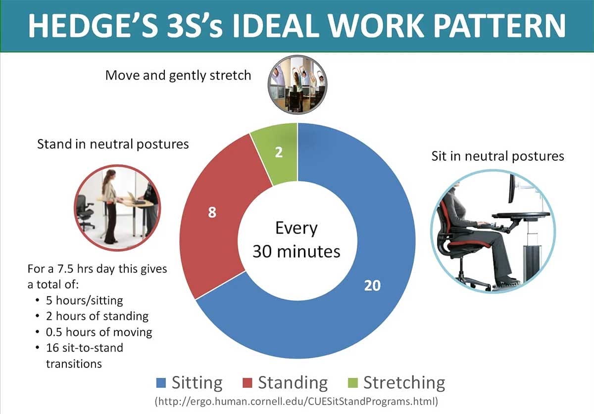 Alan Hedge's Sit-Stand-Stretch routine for desk workers.