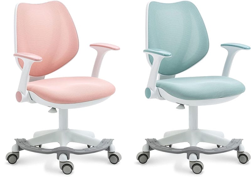 Homefun ergonomic chairs in 2 colors