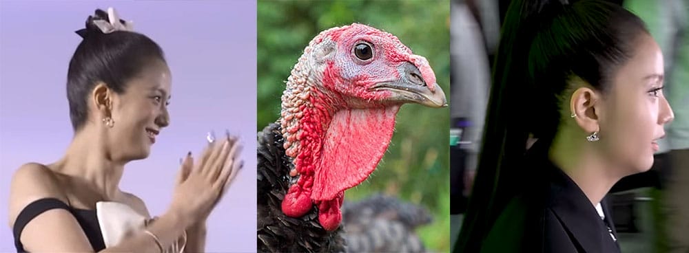 Jisoo from Blackpink with turkey neck