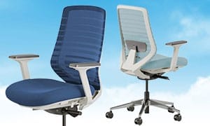 Branch ergonomic office chair