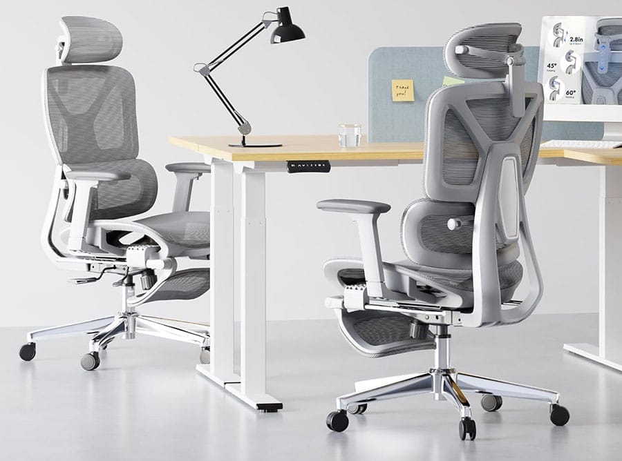 Flexispot Ergo X 2 chairs in office setting