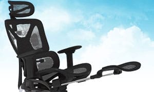 Flexispot ErgoX Premium chair thumbnail