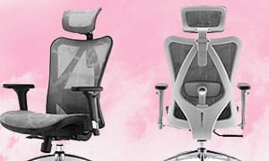 Sihoo M57 mesh office chair